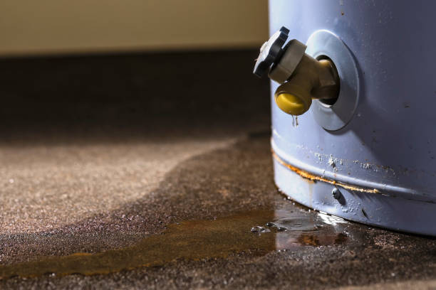 Best Residential water damage restoration  in Solomons, MD