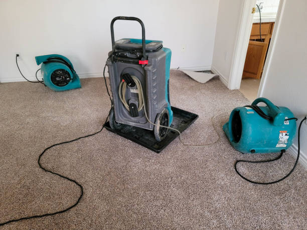 Best 24-hour water damage restoration  in Solomons, MD