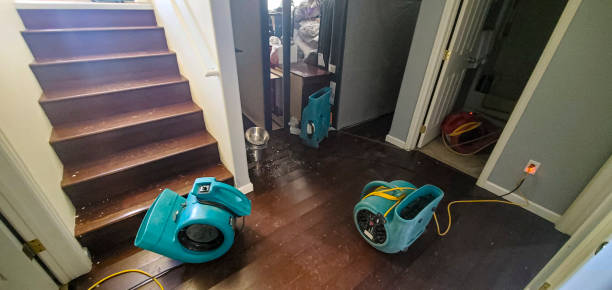 Best Water damage cleanup near me  in Solomons, MD