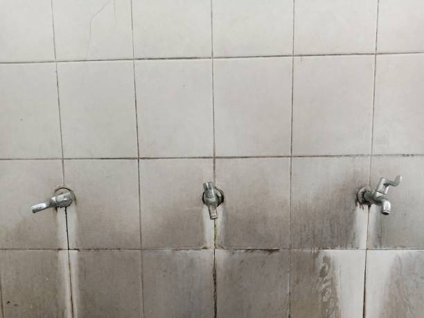 Best Fire Damage Restoration  in Solomons, MD